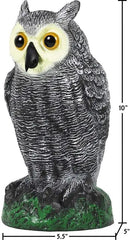 Galashield Owl Decoy to Scare Birds Away | Plastic Owls to Scare Birds Away | Owl Statue for Garden & Outdoors by GreenHaven Gardens