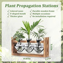 Lifecapido Heart Shaped Propagation Stations, Plant Terrarium with Wooden Stand, Plant Propagation Station for Hydroponics Plants Office Garden Home Decor, Gifts for Women Plant Lover (3 Vases, Gray) by GreenHaven Gardens