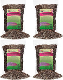 Professional Carnivorous Plant Soil - Ready to Use for Venus Flytraps, Sundews, Pitcher Plants, Butterworts | Peat Moss, Coco Coir, Perlite - 20 Quart by GreenHaven Gardens
