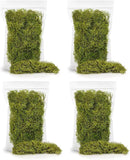 Premium Spanish Moss in Spring Green| Natural Preserved - 20 Quart - Great Ground Cover - Filler for Potted Plants - by GARDENERA (4 Bags of 5 Quart) by GreenHaven Gardens