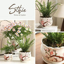 Ceramic Plant Pots with Drainage Holes and Saucers, Round Flower Pots for Indoor Plant, 3.9/5.2/6.7 Inches Small Flower Planters Set of 3 by CozyNest Decor