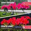 Neporal Solar Flowers Outdoor Waterproof Pink, Decorative Garden Lights Solar Powered Dusk to Dawn, 8-Stem, 2 Lighting Modes Plants Lights for Yard, Backyard, Porch (Modern, 2, Count) by GreenHaven Gardens