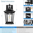 VIANIS Motion Sensor Outdoor Lighting, Outdoor Wall Lights Wall Mount with Clear Glass, Black Dusk to Dawn Garage Light Sconce, Waterproof Exterior Lights for House, Brightness Distance Adjustable by GreenHaven Gardens