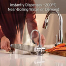 InSinkErator Stainless Steel Tank, HC250C-SS HOT250 System, 2-Handle Drinking Faucet in Chrome & F-2000S Premium Under Sink Water Filtration System for Instant Hot and Cold Water Dispe by CozyNest Decor