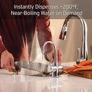 InSinkErator Stainless Steel Tank, HC250C-SS HOT250 System, 2-Handle Drinking Faucet in Chrome with 2/3-Gallon, Filter-Compatible Instant Hot/Cold Water Dispenser by CozyNest Decor