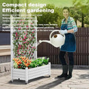 Elevated Raised Garden Bed with Trellis,Outdoor Large Resin Patio Planter Box Stand Divisible with Drain Plug,Water Monitor for Plants Vegetables Flowers Fruits (Ashen, 43.43 * 18.27 * 64.29) by GreenHaven Gardens
