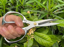 Indoor Plant Shears Garden Scissors, Flower Pruners Made of Japan SK5 Stainless Steel, Flowers Herbs and Plant Cutters, Clippers, Trimmers, Loppers, Bonsai Potted Plant Pruning Scissors by GreenHaven Gardens