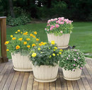 Quarut Plant Planters Pots Set of 4 Pack 16 Inch，Large Plastic Flower Pot for Indoor Plants with Drainage Holes & Trays, Whiskey Barrel Planters with Saucer for House Outdoor Garden Plant（White） by CozyNest Decor