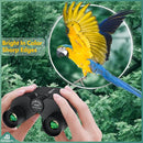 Aurosports 10x25 Binoculars for Adults and Kids, Large View Compact Binoculars with Low Light Vision, Easy Focus Small Binocular for Bird Watching Outdoor Travel Sightseeing Concert Hunting Hiking by TinyTreasures Baby Boutique