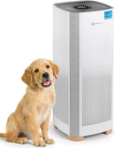 Air Purifiers for Home, Large Room Covers 1500 Ft², H13 Medical Grade True HEPA Air Filter, Ideal for Allergies, Cat, Dog, Pet, Hair, Pollen, Smoke, Dust, Bedroom Air Filter, WiFi, InvisiClean Bella by TinyTreasures Baby Boutique