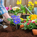 ZeeDix Organic Coco Coir Pellets Potting Soil, 100pcs 30mm Compressed Coconut Fiber Seed Starter Soil Pellets, Coco Peat Soil Discs for Indoor Ourdoor Plants, Herbs, Houseplants, Flowers, Vegetables by GreenHaven Gardens
