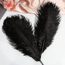 THARAHT Black Ostrich Feathers 12pcs Large Natural Bulk 20-22Inch 50cm-55cm for Wedding Party Centerpieces Halloween and Home Decoration Feathers by CozyNest Decor