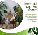 Stackable Monstera Plant Support Stakes, Climbing Plants Support Structures for Indoor & Outdoor Use, Garden Accessories, Alternative to Moss Pole - Monstera Green, 5 Pack, 17" L by GreenHaven Gardens