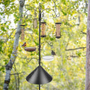Bird Feeding Station Kit Bird Feeder Pole Wild Bird Feeder Kit with Squirrel Baffle and Suet Cage Mesh Tray Fruit Hook Double W Hook for Attracting Wild Birds by GreenHaven Gardens