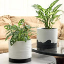 Nihow Ceramic Plant Pot: 8 Inch Planter with Drainage Hole & Saucer for Indoor & Outdoor Plants - Cylinder Round Flower Pot for Succulent/Herbs/Violets - White & Wave Black by CozyNest Decor
