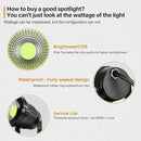 LemonBest LED Landscape Up Down Light 5W White LED Decorative Spotlight Lamp 110V with Plug for Indoor Outdoor Yard Step Wall Lighting (Cool White) (Include Spike) by GreenHaven Gardens
