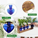 Plant Propagation Stations Heart Plant Terrarium Kit Gift for Women Plant Lover Glass Vases by GreenHaven Gardens
