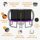 JUMPZYLLA Trampoline Outdoor 8FT 10FT 12FT 14FT 15FT 16FT with Enclosure and Ladder, ASTM Approved Recreational Trampoline for Kids and Adults, Anti-Rust Coated Frame by TinyTreasures Baby Boutique