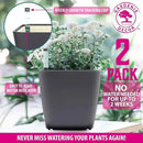 GARDENIX DECOR 5" Self Watering pots for Indoor Plants - Flower Pot with Water Level Indicator for Plants, Grow Tracking Tool - Self Watering Planter Plant Pot – 2 Pack Gray by GreenHaven Gardens
