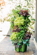 Greenstalk Patented Large 5 Tier Vertical Garden Planter with Patented Internal Watering System Great for Growing a Variety of Strawberries, Vegetables, Herbs, & Flowers (Evergreen) by GreenHaven Gardens