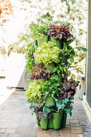 Greenstalk Patented Large 5 Tier Vertical Garden Planter with Patented Internal Watering System Great for Growing a Variety of Strawberries, Vegetables, Herbs, & Flowers (Evergreen) by CozyNest Decor