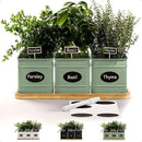 Herb Planter Indoor - 3 Iron Herb Pots with Drainage Holes, Varnished Bamboo Tray, Customizable Labels & Marker Pen - Indoor Herb Garden Planter - 3 Pots for Herbs - Inside Spice Garden - Basil Pot by GreenHaven Gardens
