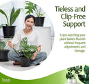 Twigs - Plant Support Stakes for Indoor, Outdoor & Climbing Plants, Gardening Supplies, Garden Accessories, Trellis & Ring Alternative, Made in USA - Peony (Light Green), 10 Pack, 12" L, Mini Twigs by GreenHaven Gardens
