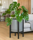 D'vine Dev Ceramic Planter with Ebony Stand - 12 Inch Modern Round Flower Pot with Wood Planter Holder, Grey, 55-B-H-3 by GreenHaven Gardens