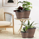 4 Pack 8 inch Plant Pot, Plastic Pots for Plants Indoor, Round Planters for Outdoor Plants with Drainage Holes & Trays, Decorative Flower Pots Garden Containers Sets for Houseplants (Black Copper) by CozyNest Decor