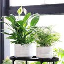 8 Inch + 6 Inch Ceramic Plant Pots Indoor with Drainage – Flower Pot Set, Decorative Indoor Planters for House Plants and Garden Use by CozyNest Decor