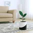 D'vine Dev 6.5 Inch Ceramic Planter Pot with Drainage Hole and Saucer, Indoor Cylinder Round Planter Pot, Oblique Monochrome Black and White, 94-O-C-K by GreenHaven Gardens
