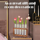 Desktop Glass Plant Propagation Station with 5 Test Tubes in Wooden Stand - Hydroponic Plants Cutting Office Home Decoration and Garden Decor Terrarium (5 Tubes) by CozyNest Decor