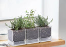 4 Inch Herb Planter Pot, Plastic Planter with Drainage Holes and Saucer, Modern Decorative Gardening Pot for Indoor Plants, Flowers, Herbs, Succulents, Clear, Set of 3, 76-Y-D-3 by GreenHaven Gardens