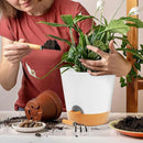 GARDIFE 10/9/8 inch Plant pots, planters for Indoor Plants, self Watering Plant Pot, Flower pots, White by GreenHaven Gardens