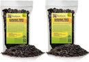 Banana Tree Potting Soil - All-Natural Blend for Thriving Banana Trees - Promotes Deep Root Penetration and Optimal Nutrient Uptake (10 Quart) by GreenHaven Gardens