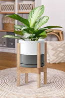D'vine Dev Ceramic Planter with Natural Stand - 8 Inch Modern Round Flower Pot with Wood Planter Holder, White/Grey, 55-B-N-6 by GreenHaven Gardens