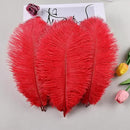 THARAHT Red Ostrich Feathers 24pcs Natural Bulk 10-12Inch 25cm-30cm for Crafts Wedding Party Centerpieces Halloween and Home Decoration Feathers by CozyNest Decor