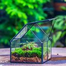 NCYP Mini Glass Geometric Terrarium with Lid - 4.25" x 4.25" x 4.92" Small House Shape Close Planter Pot for Succulents Plant - Handmade, Home Garden Office Tabletop Decor, Black (Terrarium Only) by GreenHaven Gardens