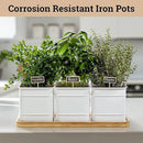 Herb Planter Indoor - 3 Iron Herb Pots with Drainage Holes, Varnished Bamboo Tray, Customizable Labels & Marker Pen - Indoor Herb Garden Planter - 3 Pots for Herbs - Inside Spice Garden - Basil Pot by GreenHaven Gardens
