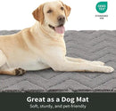 Stiio Front Door Mat Indoor Outdoor Entrance 20x31.5 Inches, Non Slip Washable Entry Rug, Dog Doormat, Absorbent Entrance Mat for Front & Back Door, Muddy Wet Shoes & Paws, Grey by CozyNest Decor
