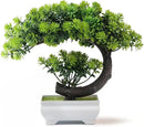 Small Artificial Plants Greenery Desktop Bonsai - Green Plastic Fake Plants for Home Decor, Indoor Bookshelf, Office Desk and Bathroom Room Decor, Tall 8.5" by GreenHaven Gardens