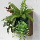 Vertical Wall Planter, 4 Pots Self Watering Living Planters Indoor, Wooden Frame Planter Wall Decoration Home Office (No Screw) by CozyNest Decor