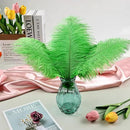 THARAHT Green Ostrich Feathers 12pcs Natural Bulk 10-12Inch 25cm-30cm for Crafts Wedding Party Centerpieces Mardi Gras and Home Decoration Feathers by CozyNest Decor