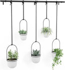 Umbra Triflora Hanging Planter for Window, Indoor Herb Garden, Set of 5, White/Black by GreenHaven Gardens