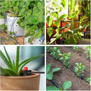 100 Pcs Drip Irrigation Emitters for 1/4'' Irrigation Tubing Adjustable Water Flow Drip Emitters with Stake Drip Irrigation System Irrigation Drippers with 360 Degree Sprayer for Garden Patio by GreenHaven Gardens