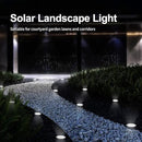 Aogist Solar Ground Lights 12 Packs, 8 LED Solar Garden Lights, Outdoor Solar Disk Lights, In-ground Outdoor Landscape Lights for Pathway Yard Walkway Patio Lawn Path (Cold White) by GreenHaven Gardens