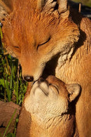Hi-Line Gift Cuddling Mother and Baby Fox Garden Statue, Brown (87719-I) by GreenHaven Gardens