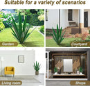 Homight Metal Tequila Country Sculpture DIY Tequila Plant Home Decor Country Tequila Garden Ornament Indooutdoor Statuette Patio Lawn Patio Stake Decoration Gift to The Garden… by GreenHaven Gardens