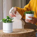 D'vine Dev 3.5 Inch & 4.7 Inch Ceramic Planter Pots for Plants with Drainage Hole and Saucer, X-Small Plant Pots Set, White, 94-G-XS-1 by GreenHaven Gardens