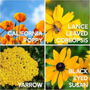 All Annual Wildflower Seeds Mix – 1 lb, 16,000+ Seeds – 21 Flower Varieties Including Poppy, Indian Blanket, Flax – Attracts Pollinators – Bulk Wildflower Seed for Planting by GreenHaven Gardens